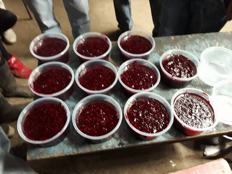 36897148_1246689378806785_1885235247008710656_n